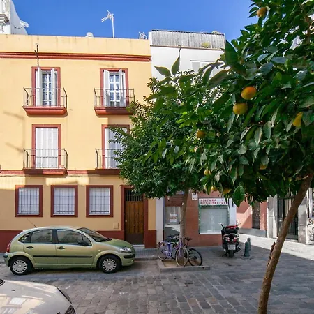 Alohamundi Cruz Apartamento